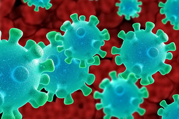 Foto virus coronavirus