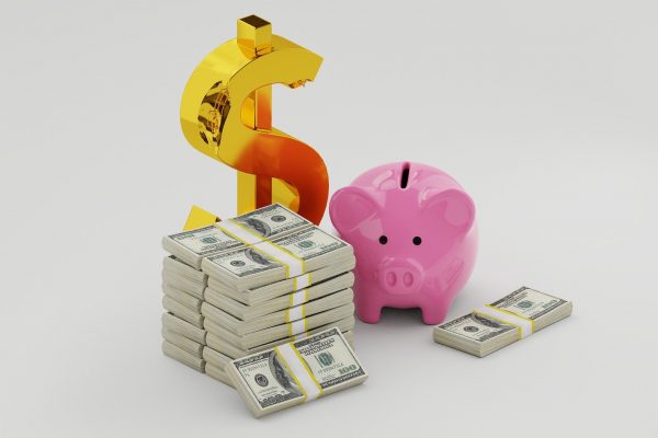 cerdito con dollares